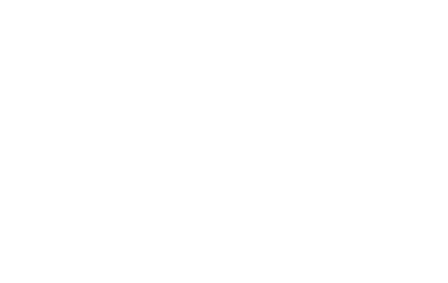 SVX Shaping Tomorrow's Experience. WHere Reality Meets Innovation